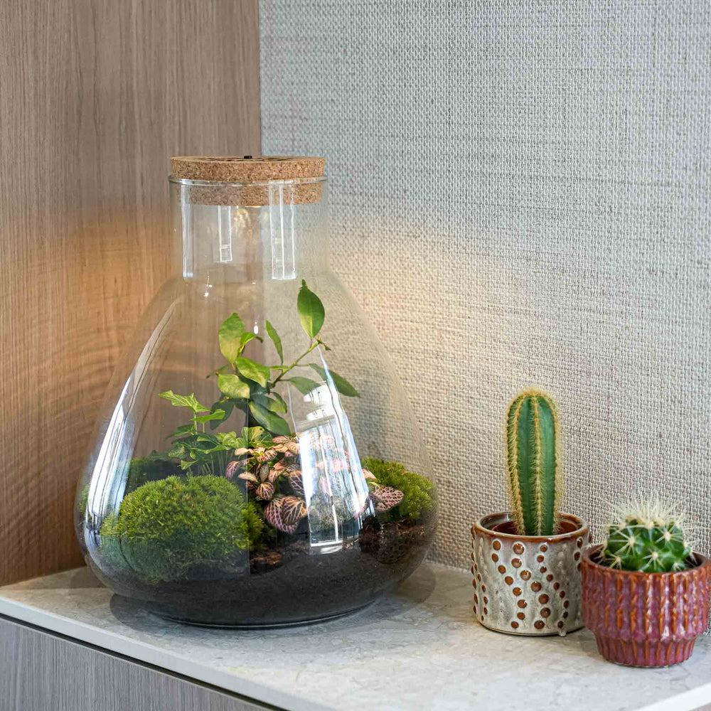 'Love Mom' Terrarium Mia + Engraved Cork With Light - Diy Kit - Ø 24.5 Cm ↑ 30 Cm - Mother’s Day