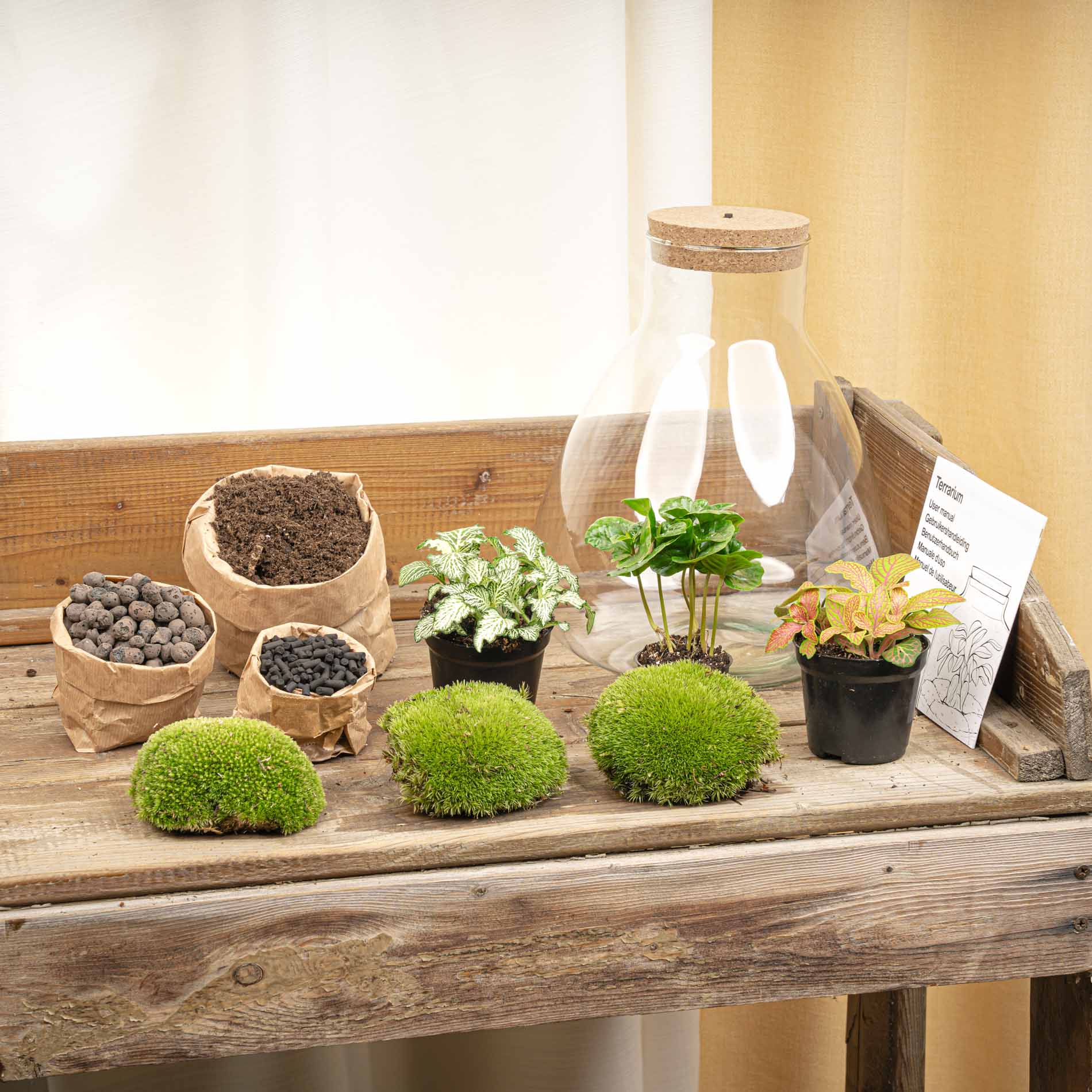 Terrarium Mia - Ø 24,5 Cm ↑ 30 Cm - Relatiegeschenk